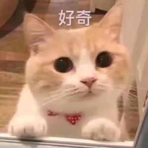 重生之这个仙人有点坏